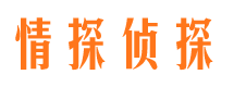 囊谦市调查公司